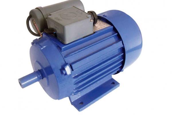 Capacitor start induction motor